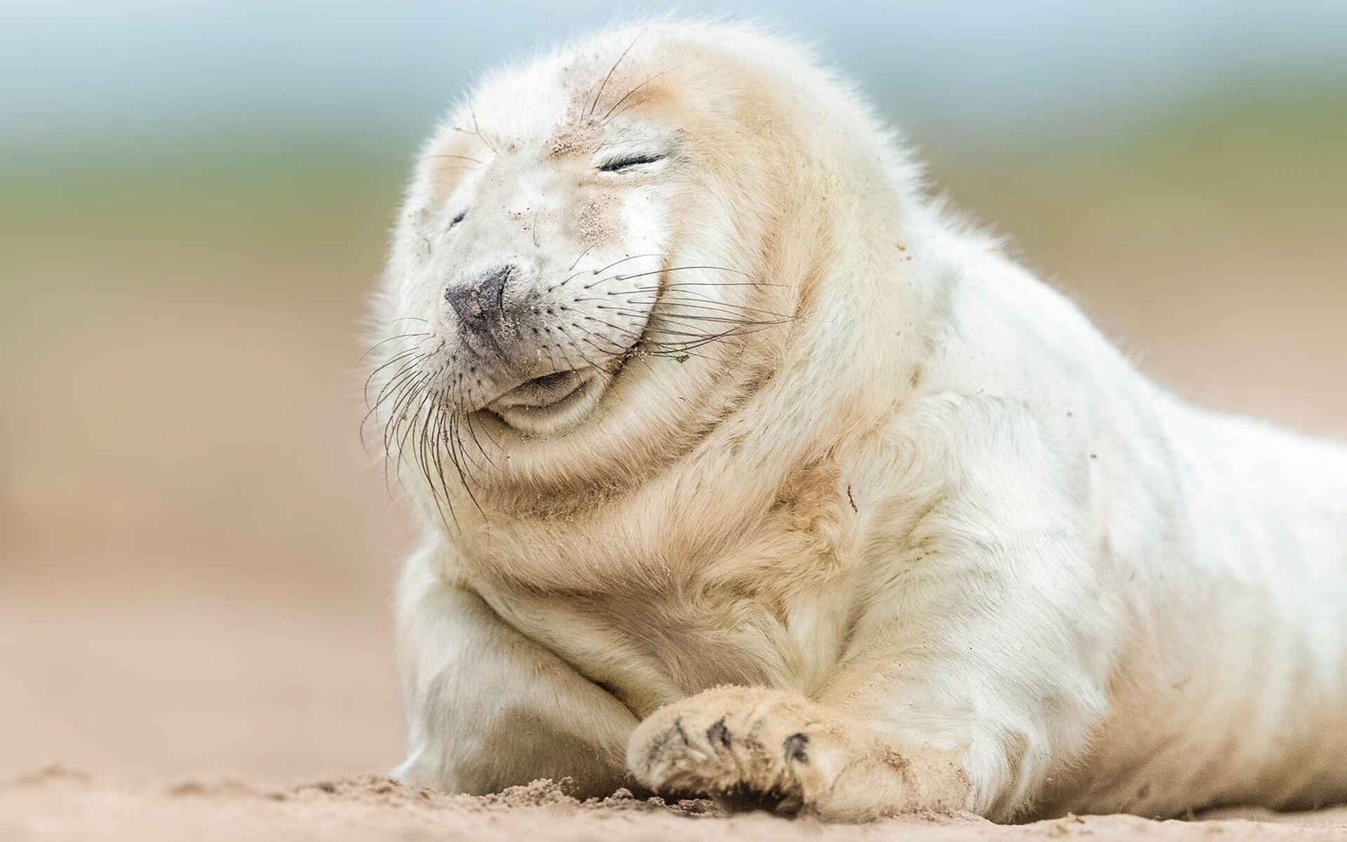 一人如刀万军破，乔治主宰比赛走向，吉林队踏平黄蜂