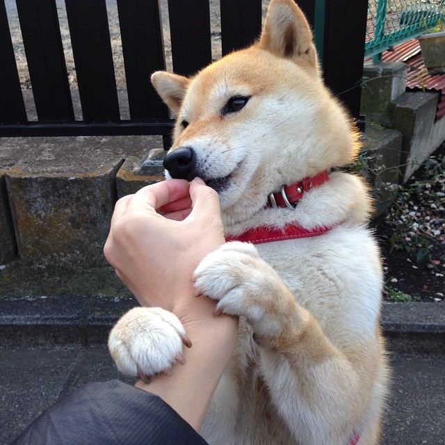 终场哨响时，一个皇马旧将杀死了皇马