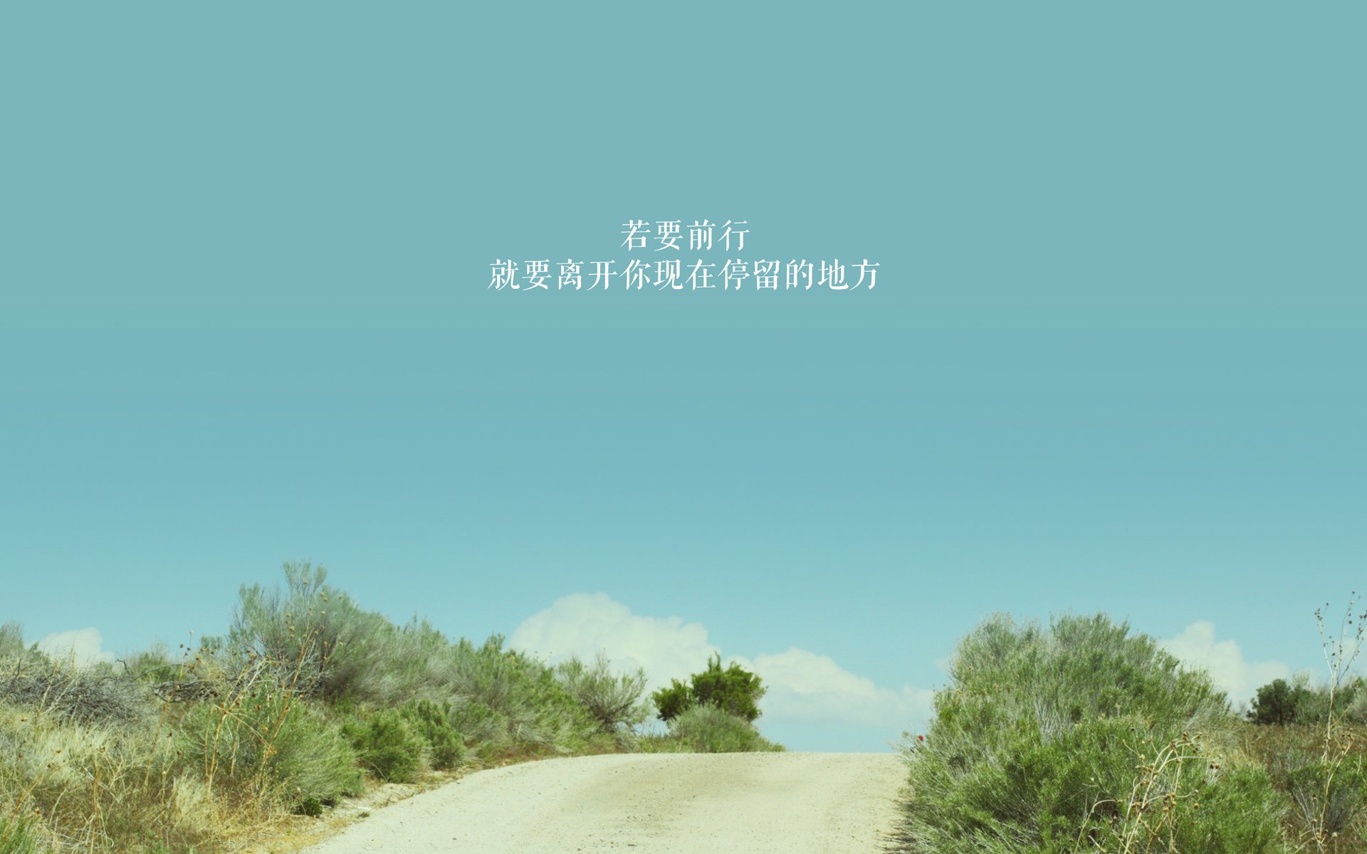 双城记，塔图姆的火力全开与广东队的绝杀艺术