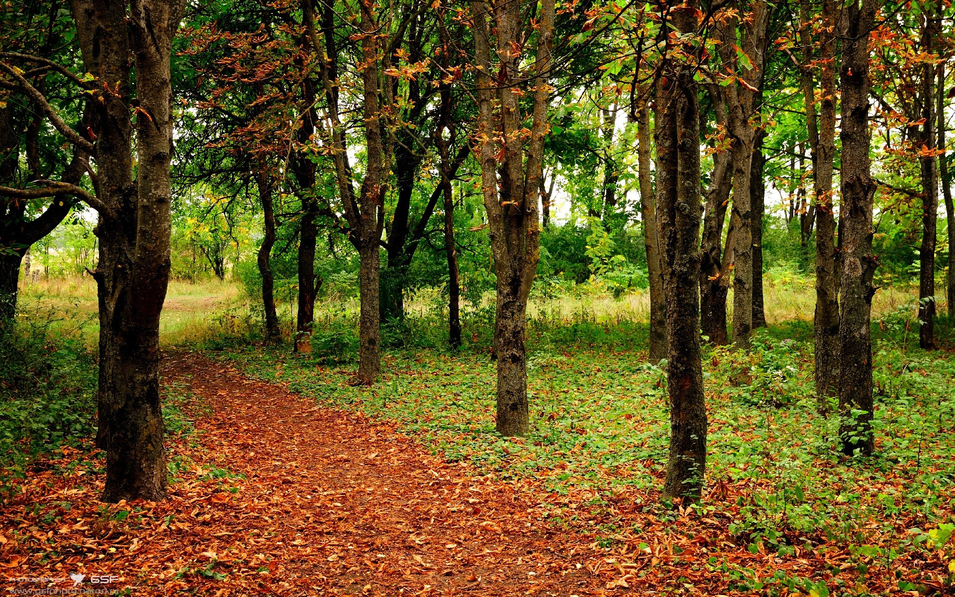 奏响终章，东决关键战之夜，哈弗茨的节奏艺术如何改写宿命
