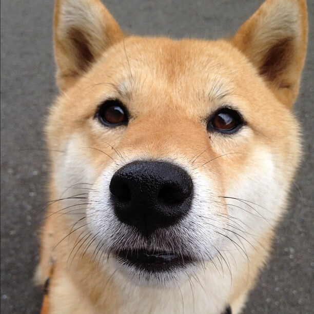 战局风云变，唯有伦纳德！快船客场踏平黄蜂，世界排名争夺战他接管一切