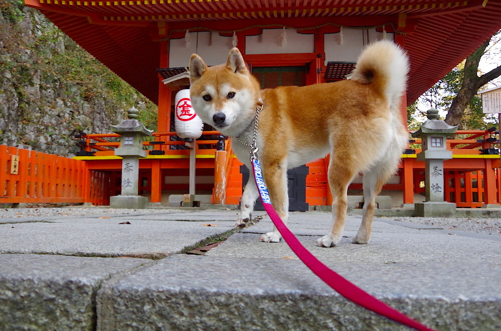 东决关键战之夜，穆勒构筑钢铁牢笼，锁死对手最后一搏