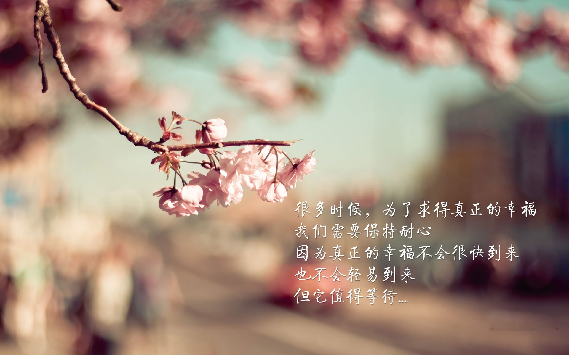 唯一的节拍器，哈基米与墨西哥如何用节奏掌控定义2026世界杯H组的唯一叙事