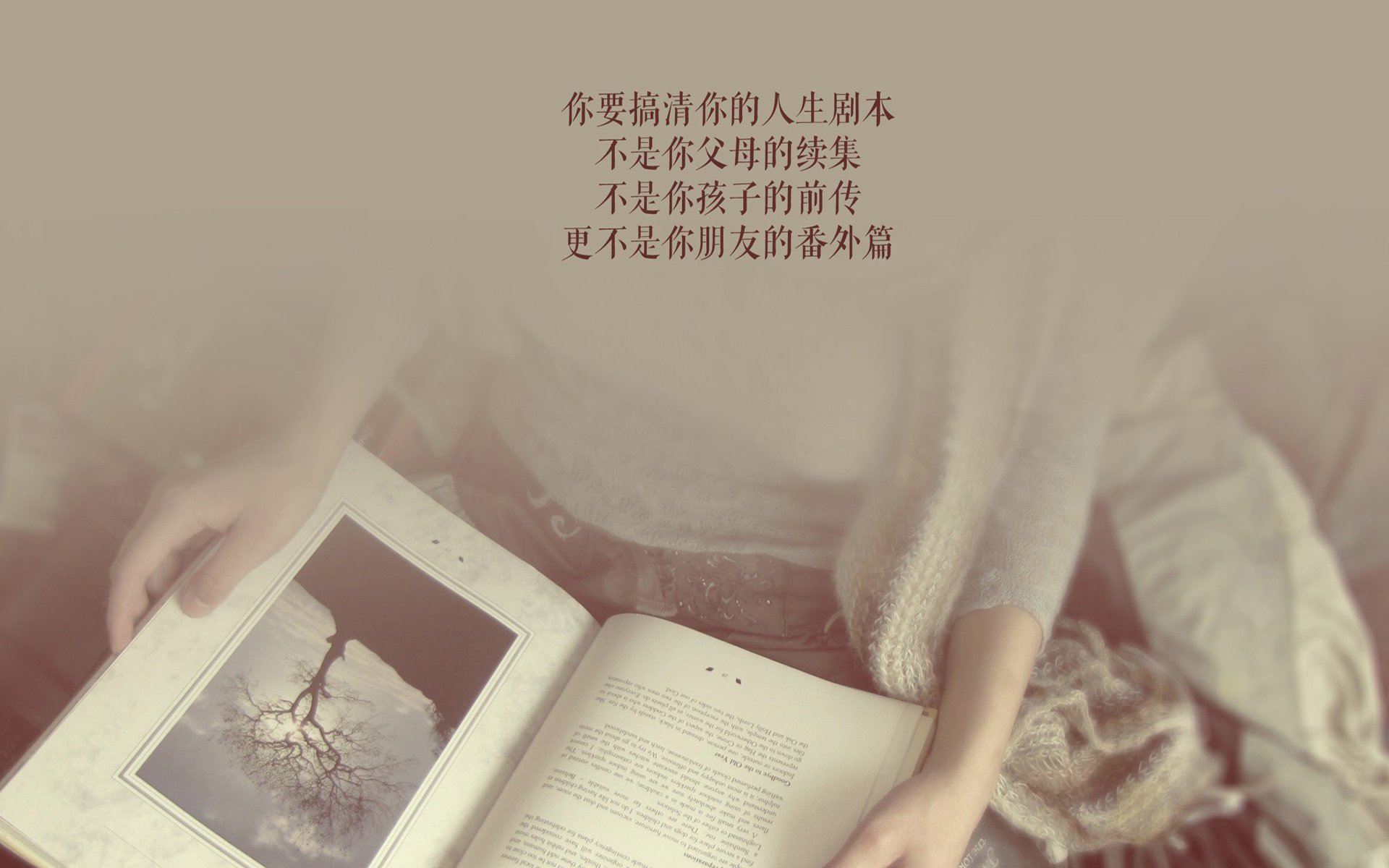 沙漠风暴折翼蓝衣,范戴克铸就橙衣长城,2026世界杯颠覆性一役