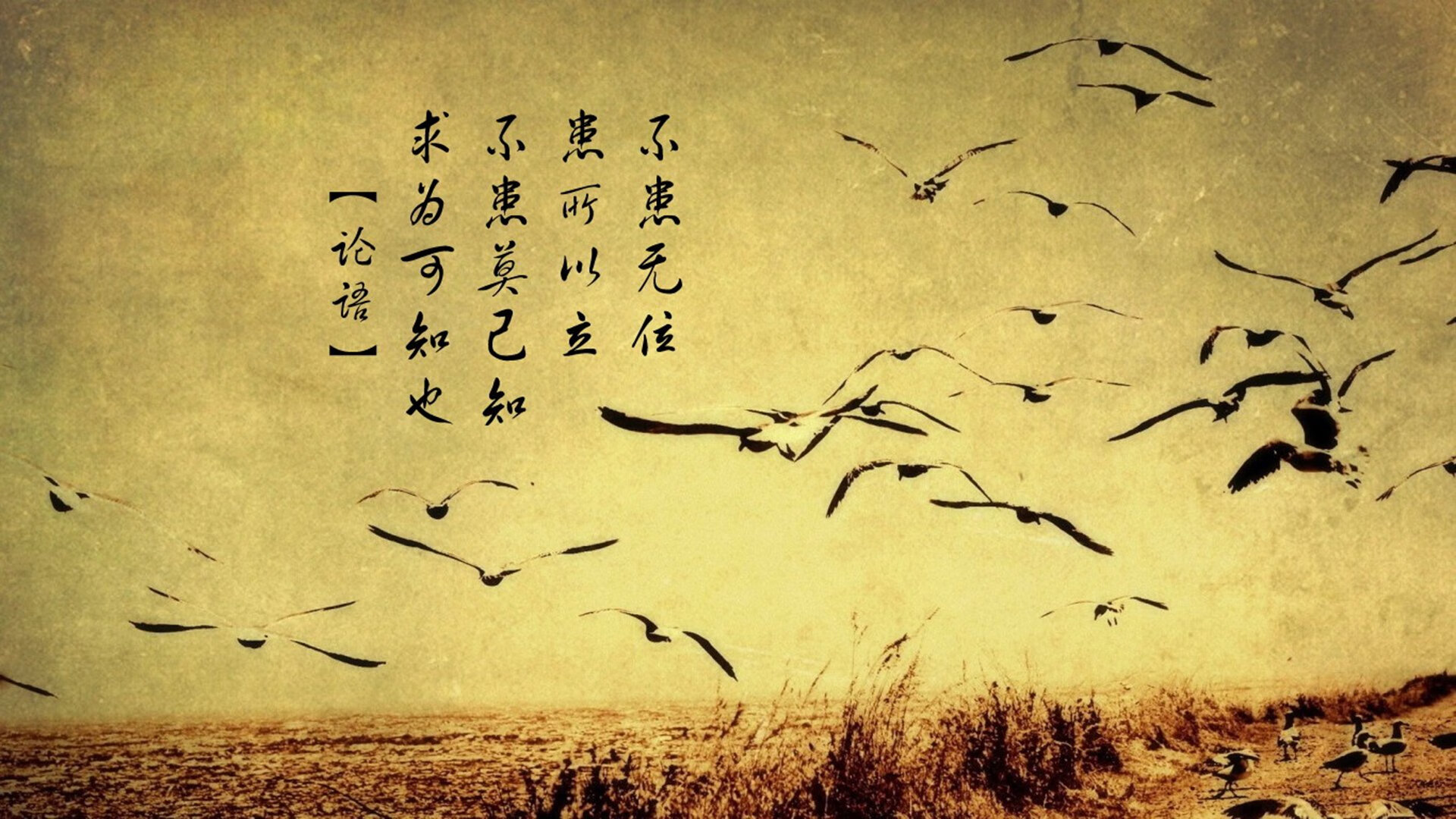 从枫叶到赤焰,阿方索·戴维斯的灵魂归位,与智利掀翻西班牙的2026血色探戈