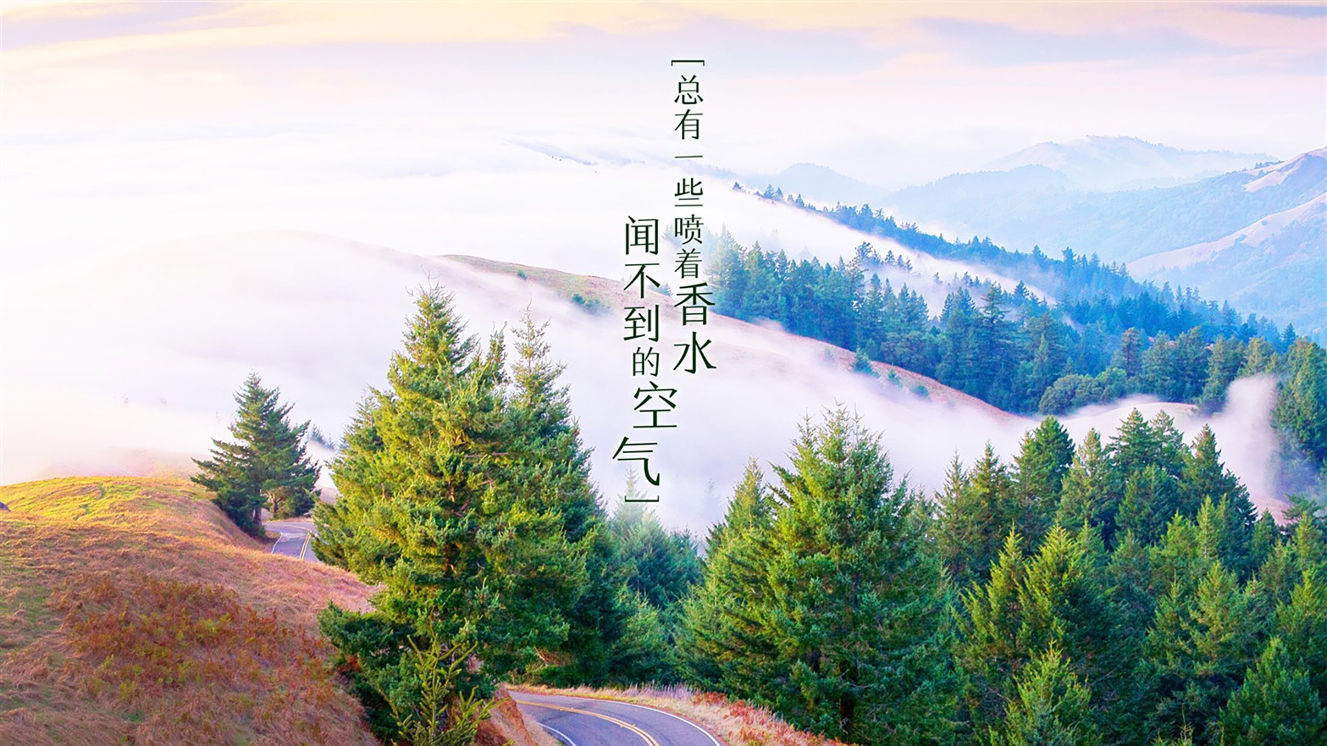 斗牛士新核,归化天才久保建英撕裂南美铁壁,西班牙4-2力克智利抢占D组头名
